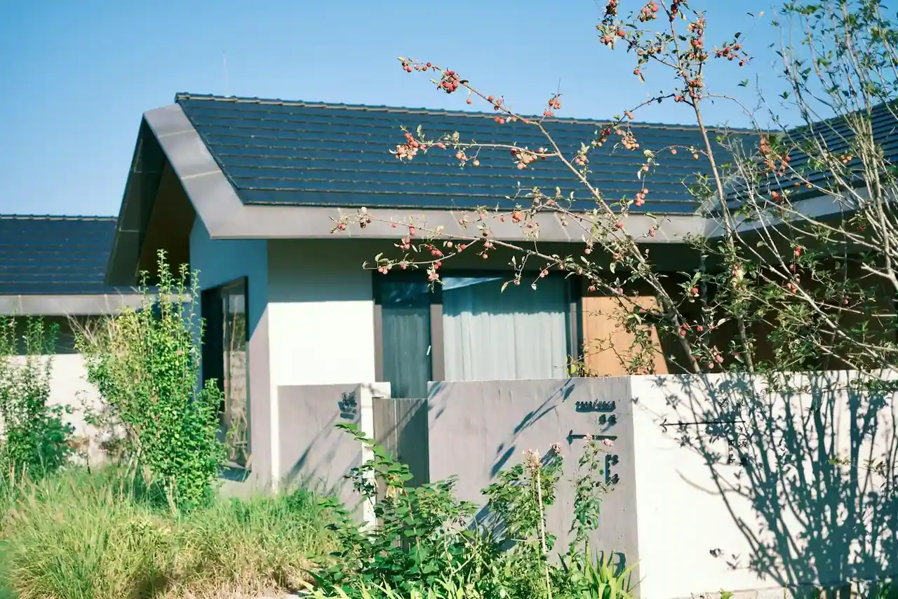 Maison contemporaine neuve avec jardin dans la région de Bordeaux