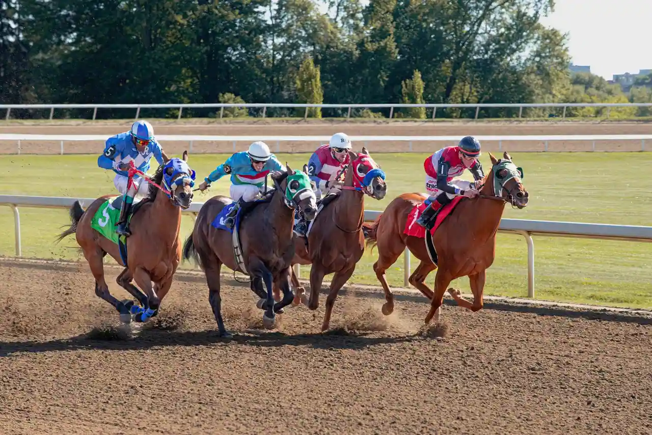 Jockeys et chevaux de course en pleine action sur un hippodrome