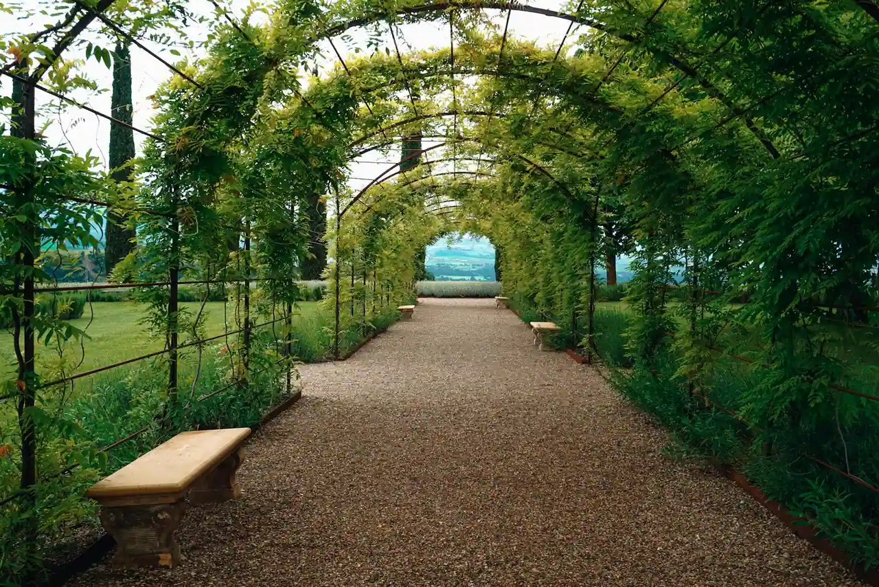 Allée de jardin en gravier sous une arche de verdure, bordée de plantations et de bancs