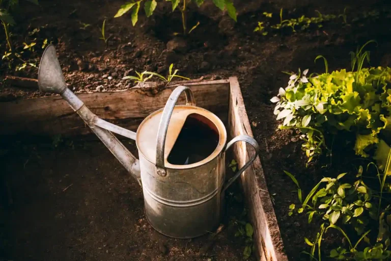 Fabriquer un carré potager : le guide pas à pas