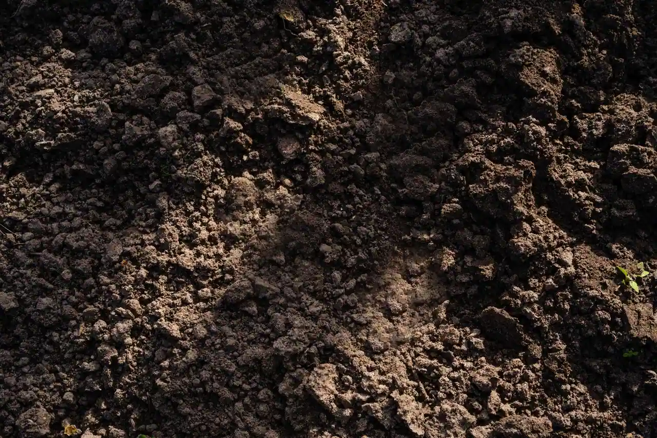 Terre fraîchement retournée et ameublie, prête pour les plantations
