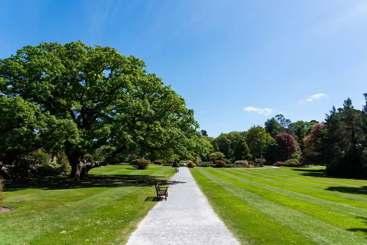 Allée gravillonnée traversant de larges pelouses arborées dans un grand parc paysager urbain ensoleillé