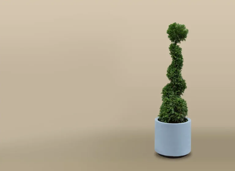 Plante artificielle d&rsquo;extérieur : bien la choisir et l&rsquo;utiliser