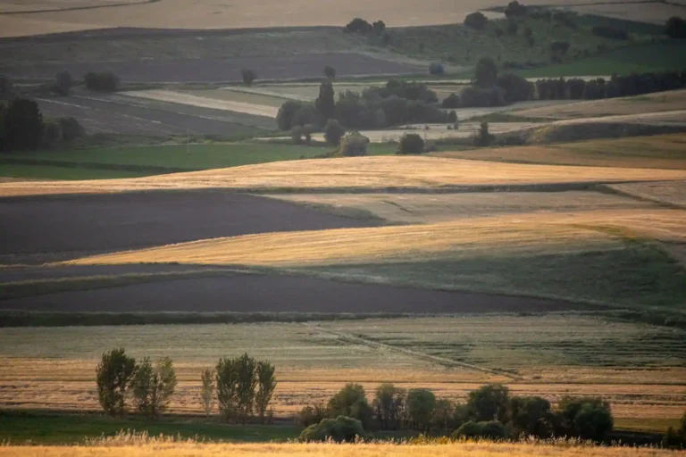 Chambre d&rsquo;agriculture : rôle, missions et à qui elle s&rsquo;adresse