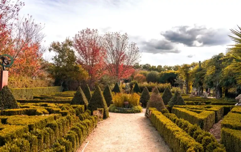 Jardin paysager : concevoir un extérieur cohérent