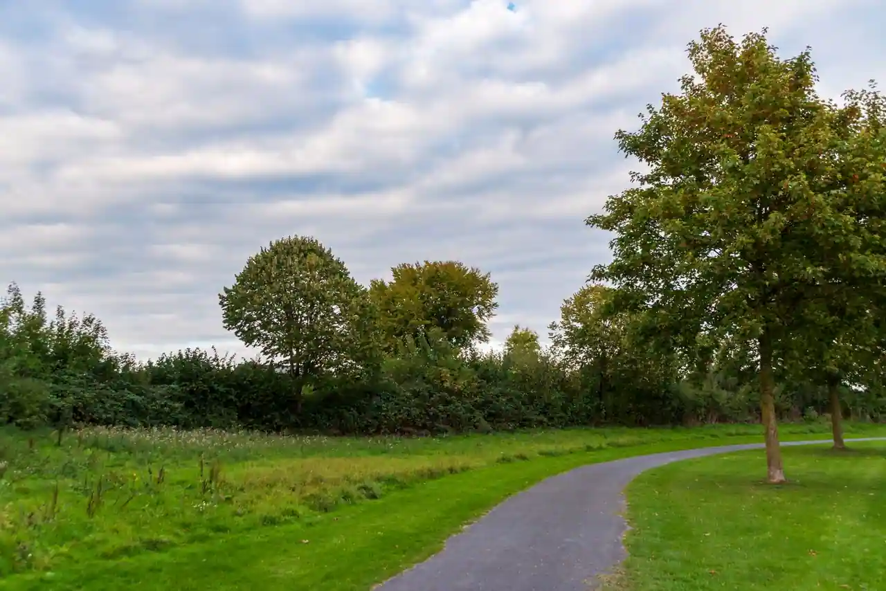 Parc public paysager avec allée sinueuse bordée d'arbres et de pelouses verdoyantes