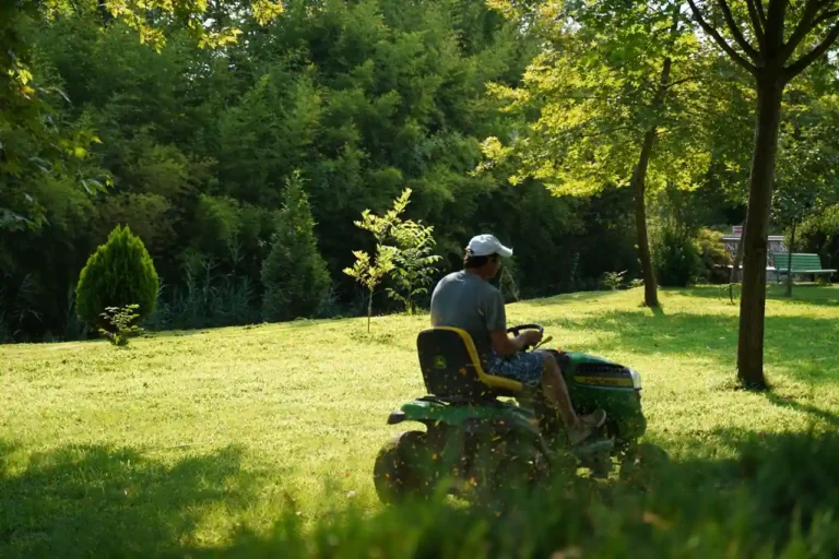 Travaux de jardin : à quels horaires peut-on faire du bruit ?
