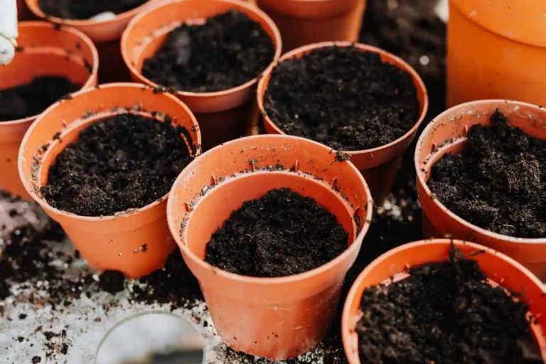 Faut-il percer les pots de fleurs en plastique ?